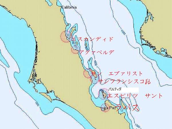 画像の説明